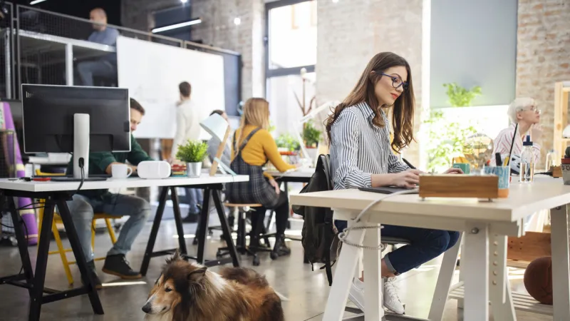 Pet-Friendly Workplaces Flourish, Redefining Corporate Environments