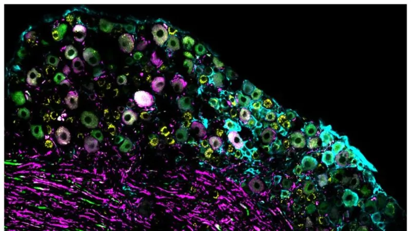 Scientists Unravel Skin's Mystery: Decoding Hot and Cold Perception