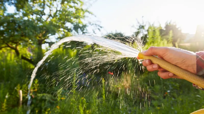 Germany's Drought Emergency: Hydrologist Demands Groundwater Oversight