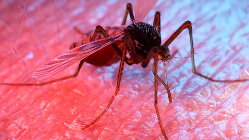 Science Uncovers Dominant Factor in Mosquito Attraction