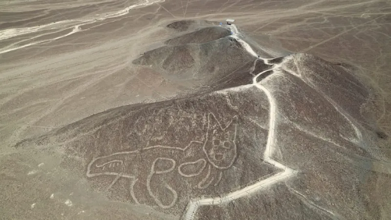 Nazca Lines Tour Plane Crash Kills 13, Two German Tourists Among Victims