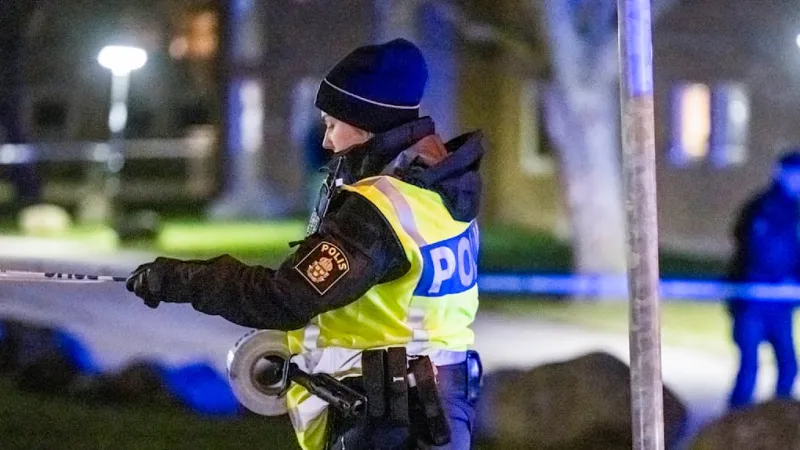 Sweden's Gang Crisis Deepens: Can Prevention Halt the Avalanche?