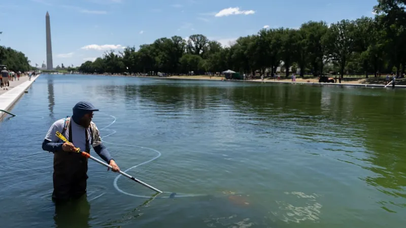 Washington's Renovated Reflecting Pool Tarnished; Trump Demands Justice
