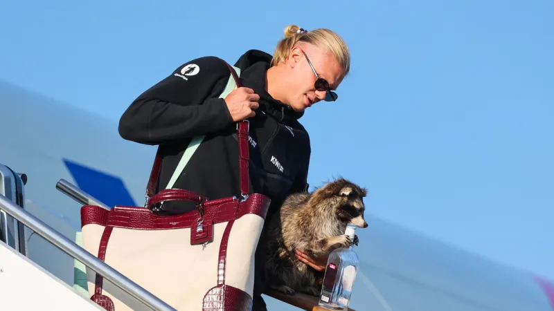 Haaland's Stuffed Raccoon Joins Royal Welcome for Norway's World Cup Heroes