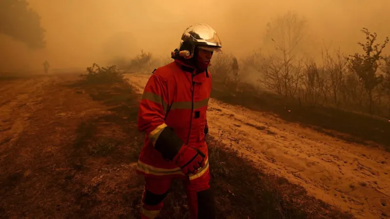 Wildfires Push France to Brink; Crisis Management Under Intense Scrutiny