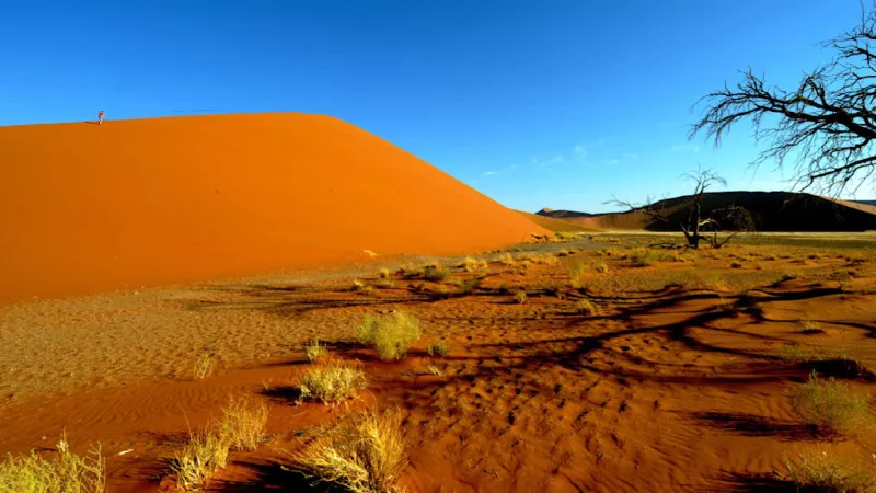 Namibia Plane Crash: Final Victim Identified, Cause Still Eludes Investigators