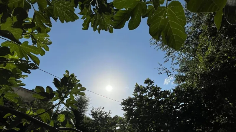 Italy Endures Record Heat: Red Alerts, Elderly Death As Swelter Persists