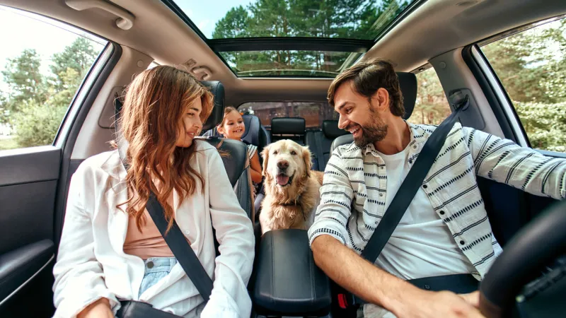 Italy Beckons Paws: Lonely Planet Maps Top 20 Dog-Friendly Escapes