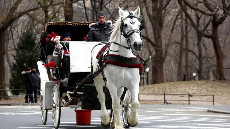 New York Nears End of Central Park Horse Carriages After 165 Years
