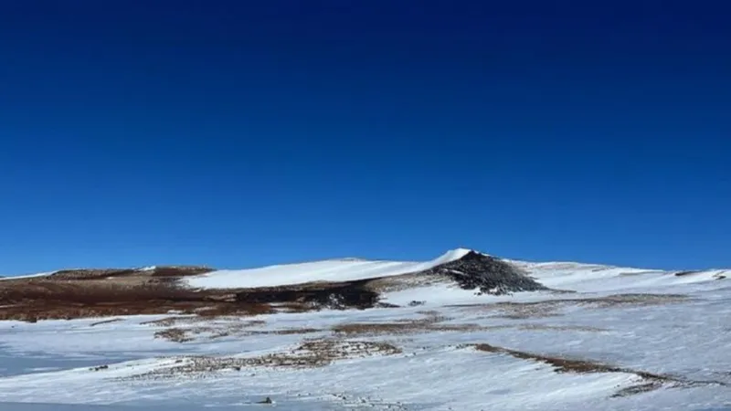 Australia Recalls Antarctic Researchers Amid Avian Flu Threat