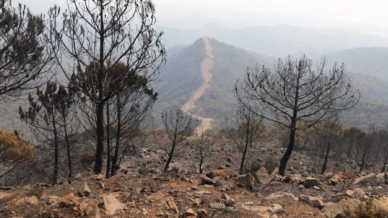 Andalusia Inferno: at Least Twelve Perish, Trapped in Blazing Cars