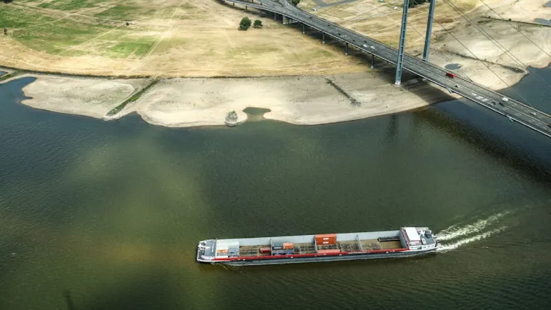 Hamburg Capitalizes on Rhine Crisis, Woos Shippers for Resilient Chains