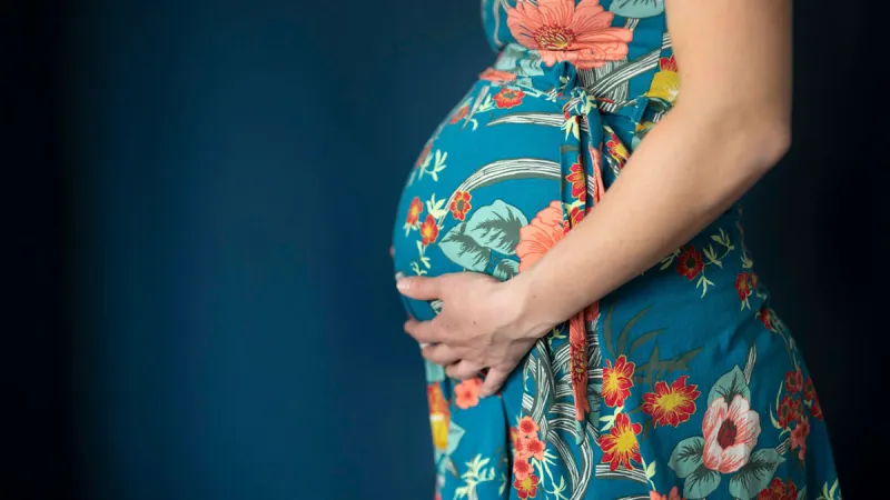 Germany Must Confront Surrogacy Ethics, Council Chairman Demands