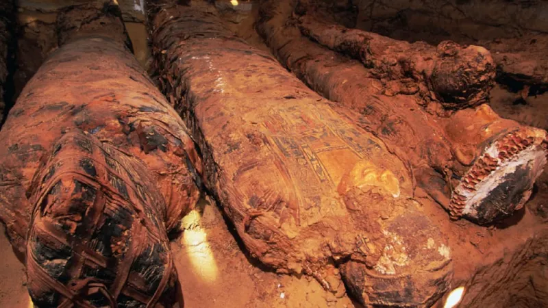 Illegal Mummified Remains Trade Poses Grave Global Health Risk