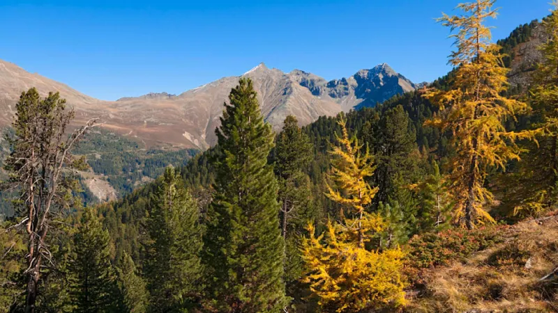 Elderly Hiker Plunges 60 Meters in Tragic Mountain Fall