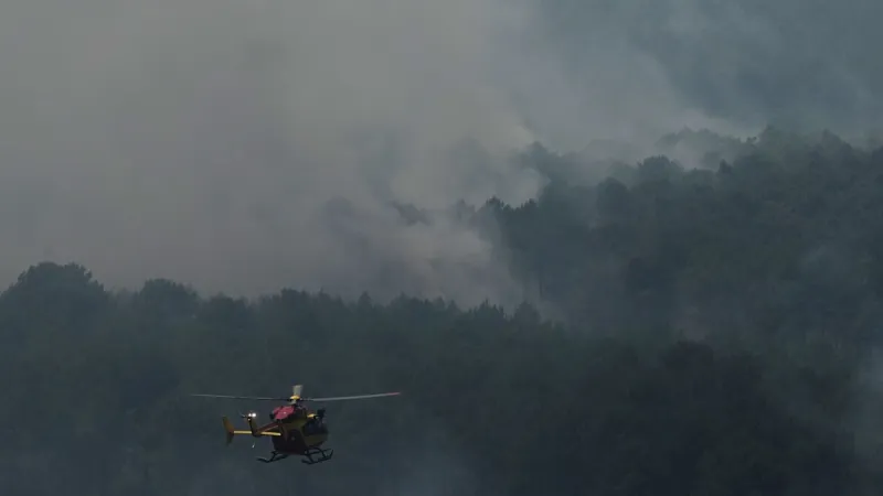 Unexploded Ordnance Heightens Germany's Escalating Wildfire Risk