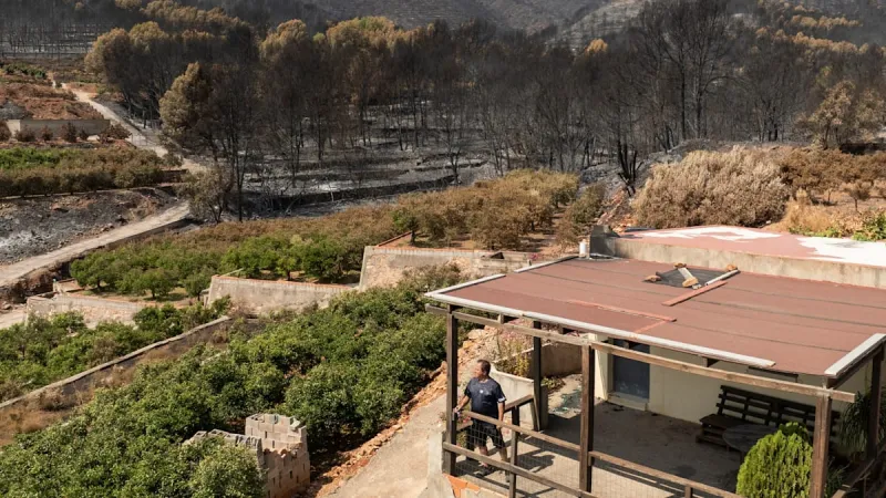Spain's Wildfires Spark Evacuation Crisis, Organized Looting Surges