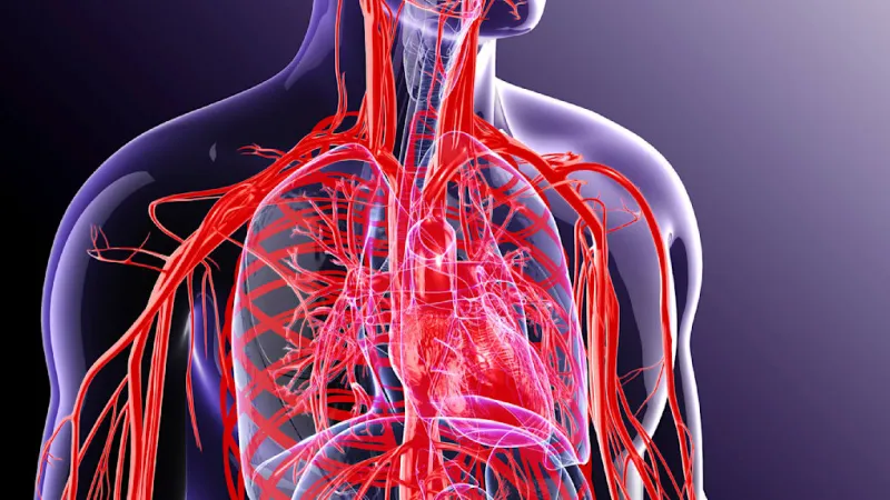 Anti-Aging Blood Purification Faces Scrutiny Amid Health Warnings