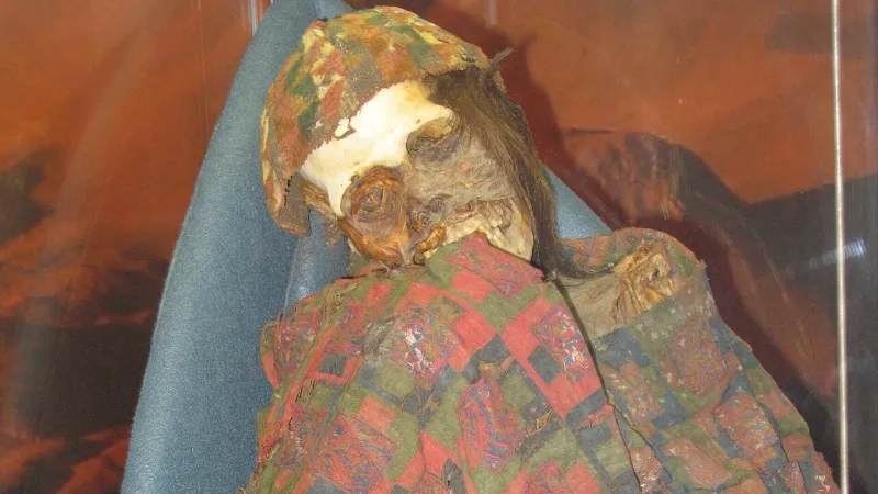 Ancient Chilean Mummies Reveal Smallpox Arrived with Colonizers