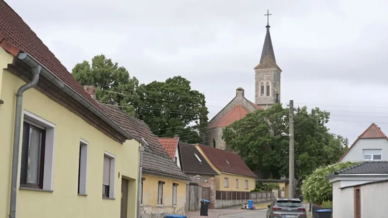 Toddler Killed by Family Dog; Germany Probes Negligence, Dog Laws