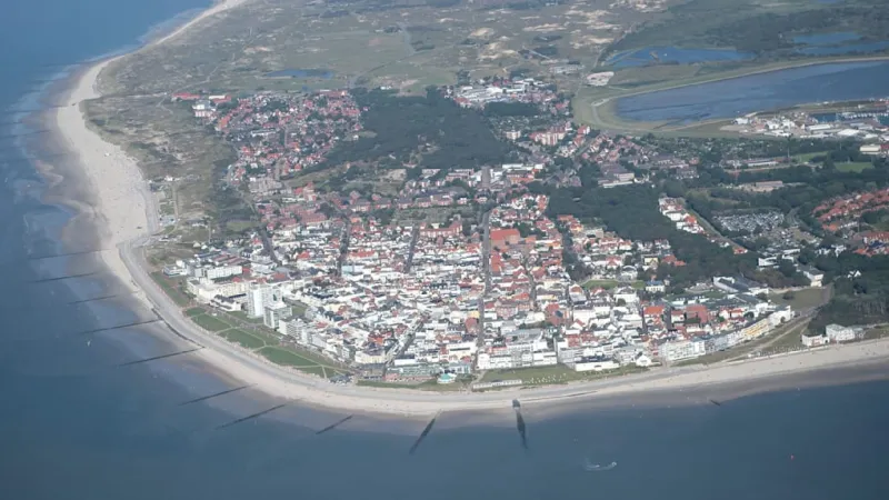 Marine Mystery: Porpoise Carcass Prompts Norderney Beach Cleanup