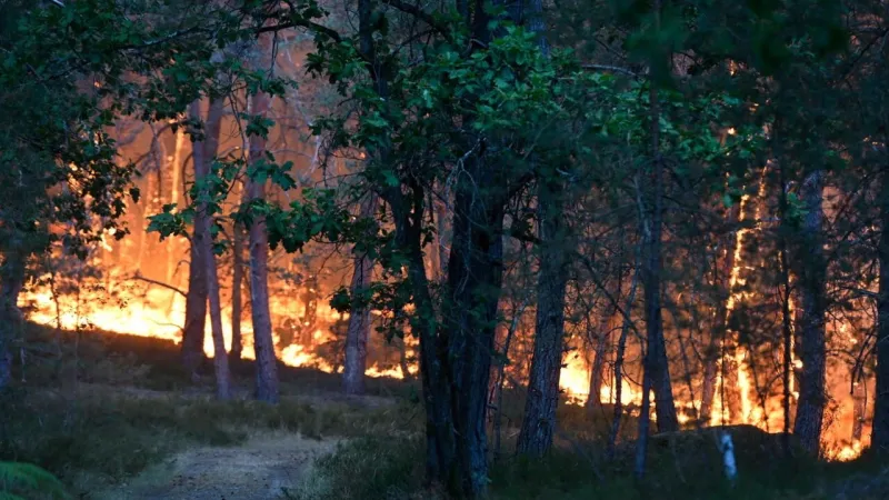 Europe Scorches: Deadly Heatwave Triggers Fires, Red Alerts Across Continent