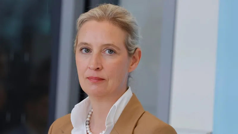 AfD Leader Weidel Demands Abolition of German Domestic Intelligence Agency