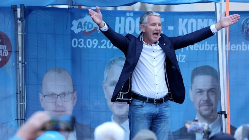 Höcke Warns of German Dictatorship As Rally Sees Neo-Nazi Gestures
