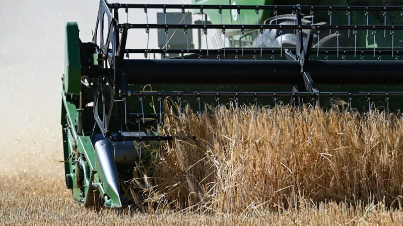 Ammerbuch Farm Tragedy: Husband Accidentally Runs Over Wife