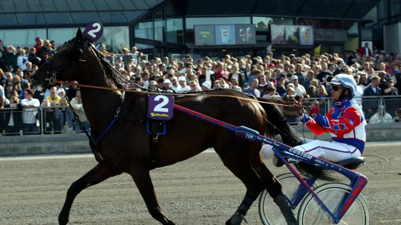 Varenne, the Captain of Trotting, Dies at 31