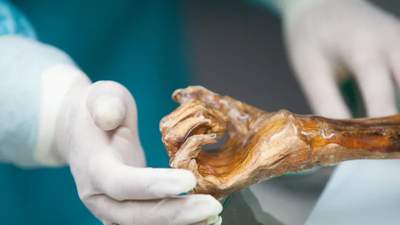 Ötzi's 5,000-Year-Old Gut Microbiome Unveiled, New Industrial Pathways Emerge