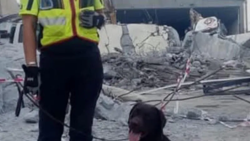 Tuscany's Heroic Firefighter Dog Allyson Dies, Leaves Legacy of Lifesaving