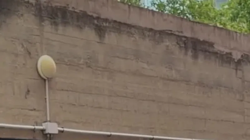 Bologna Police Intervention Ends in Man's Death, Pepper Spray Used