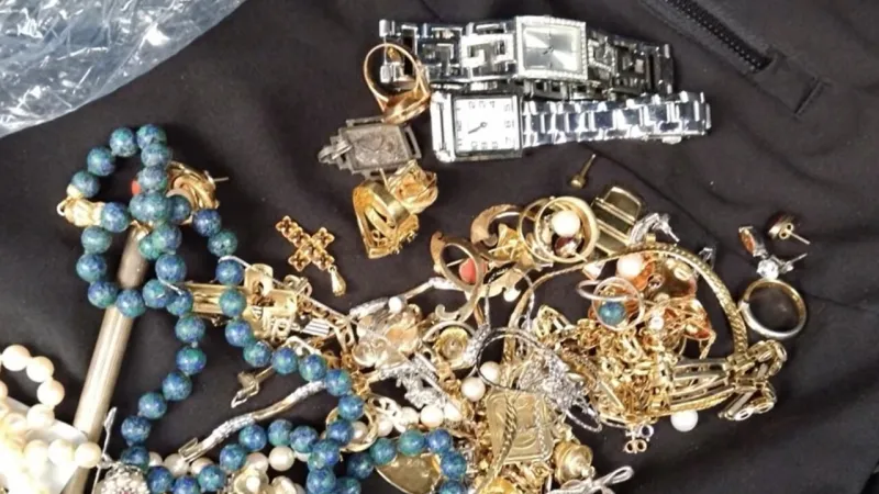 Fugitive Arrested in Viareggio Over 42 Elderly Phone Scams
