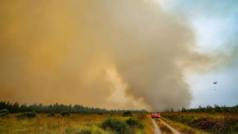 Hohes Venn Wildfire Rages, Threatens German Border Communities