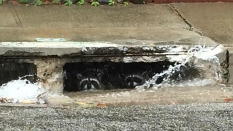 Hawaii Storm Shatters Rainfall Records, More Deluge Anticipated