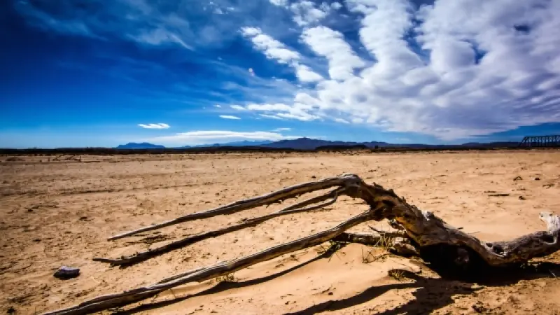 Western States Sizzle: Heat Records Topple Amidst Relentless Summer