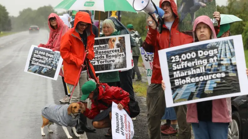 Hundreds Met with Force Storming Wisconsin Beagle Research Facility