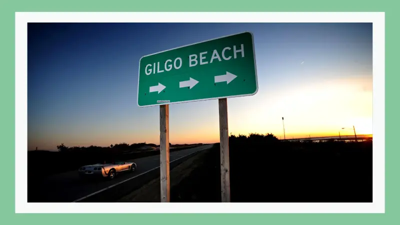 New Documentary Reveals Gilgo Beach Killers Kill Room Rituals