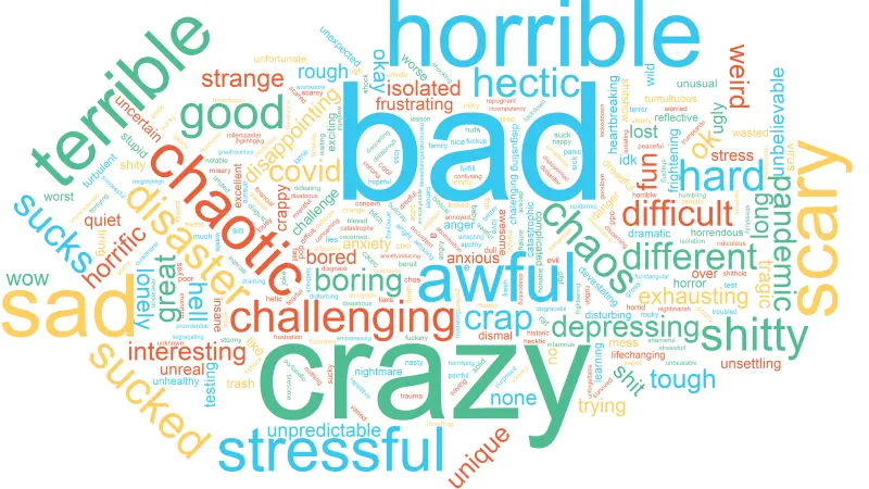 Americans Divided on Iran Strikes: Cognito Daily Poll Reveals Public Sentiment